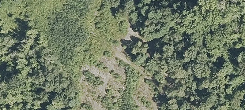 Black Hl Rd