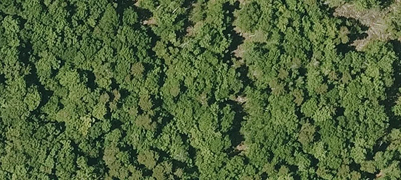 Bean Mtn Rd