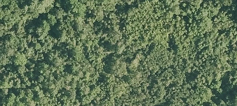 Nh Rte 101