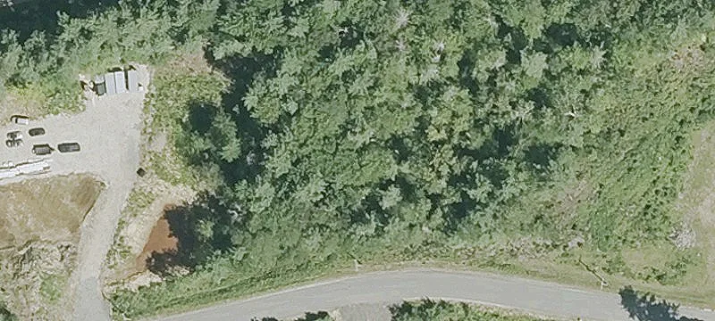 Martin Rd