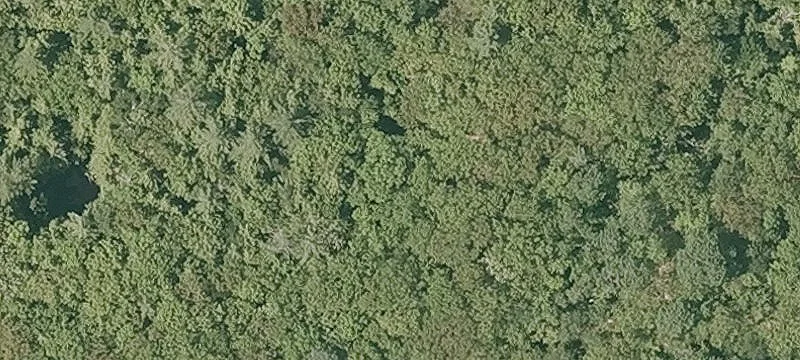 Mt Support Rd