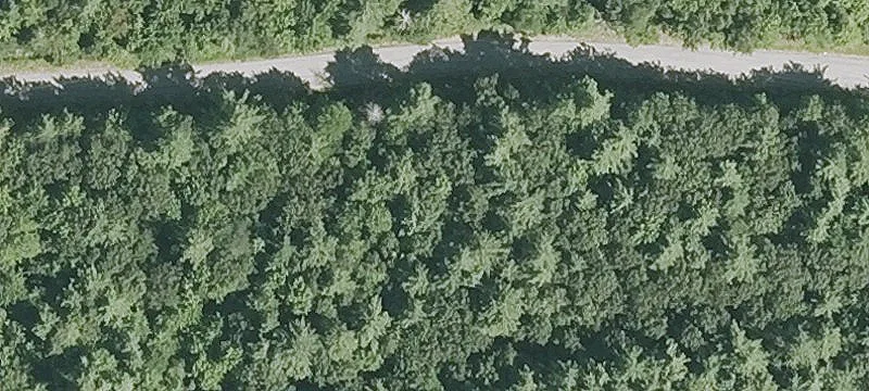 Mast Rd