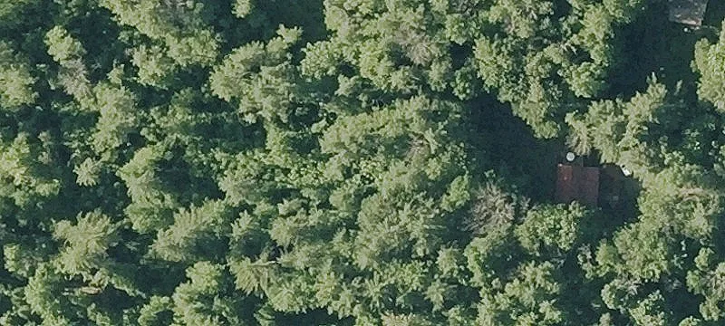 Eagle Pond Rd