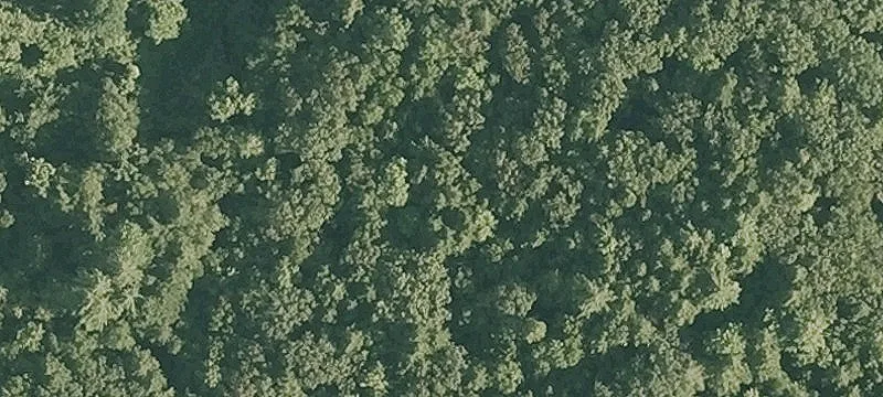 Oak Hl Rd