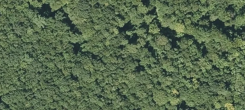 Willard Pond Rd