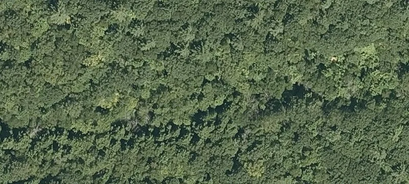 Belknap Mtn Rd