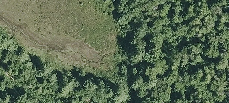 Cedergren Rd