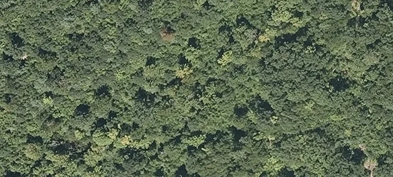 Armands Way