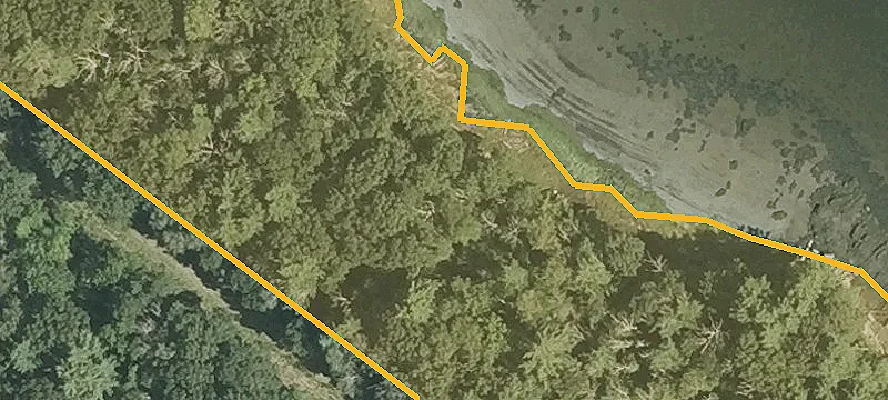 Shattuck Way
