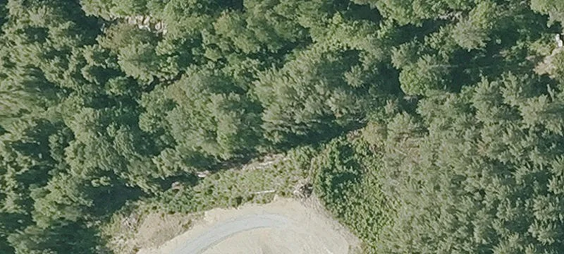 Rte 25