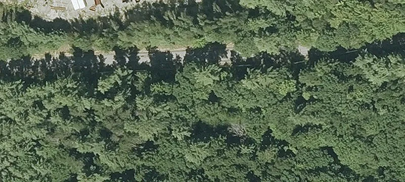 Stone Rd