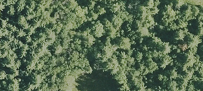 620 Ragged Mtn Rd