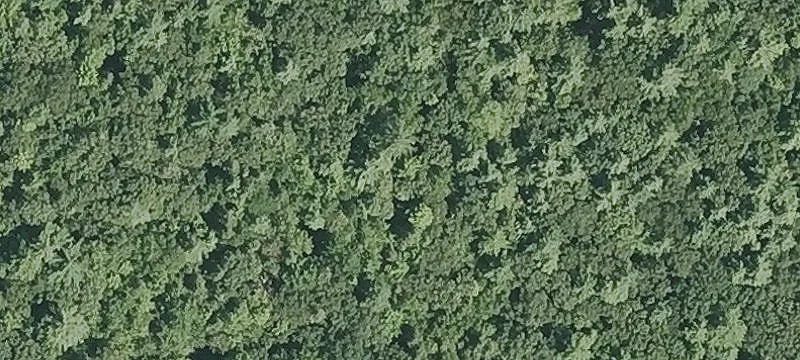 Blake Rd