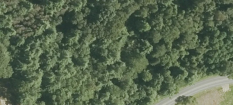 Jessie Doe Rd