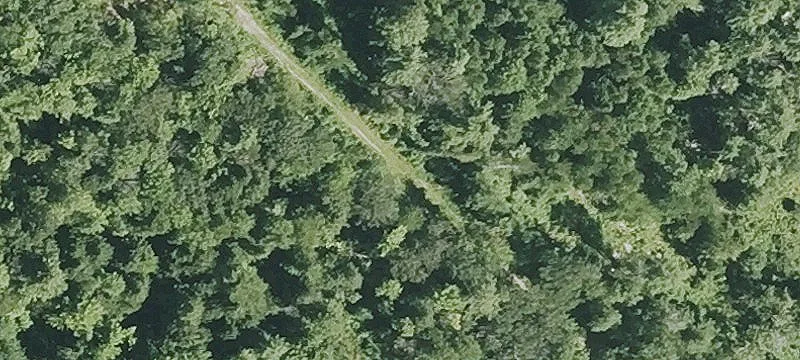 Nh Rte 11