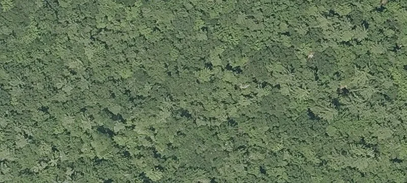 Birch Rd