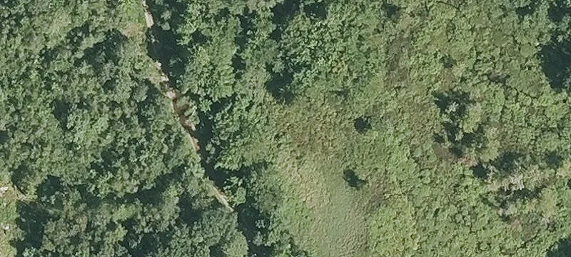 Nh Rte 11