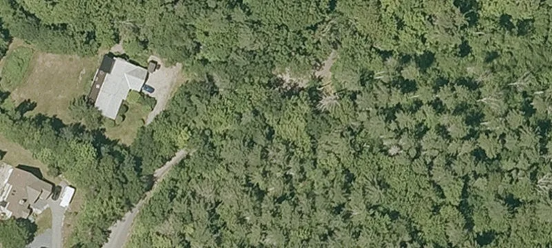 Cat Hole Rd