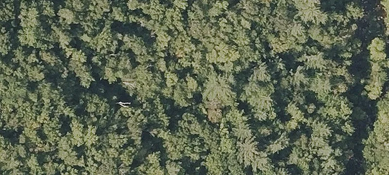 Dana Pl Rd