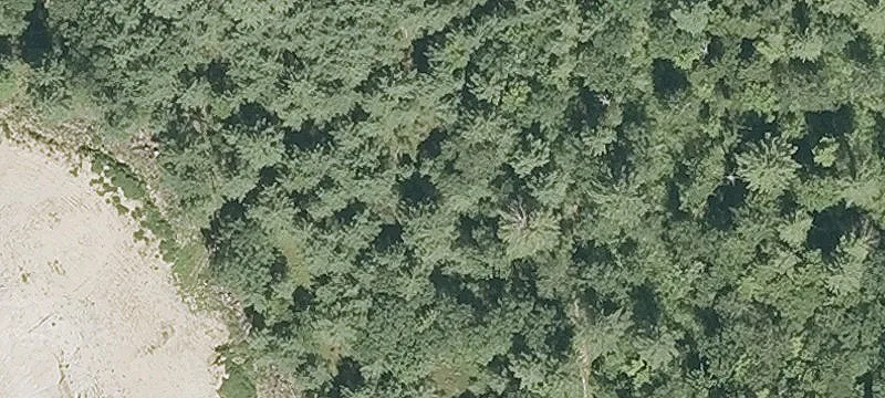 Dodge Rd