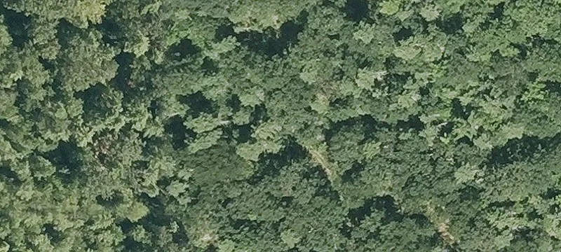Old Bay Rd