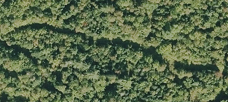 Nn Rd