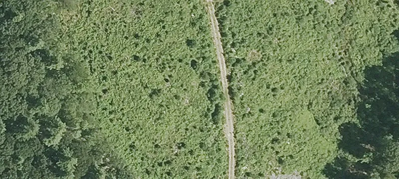 Community Way