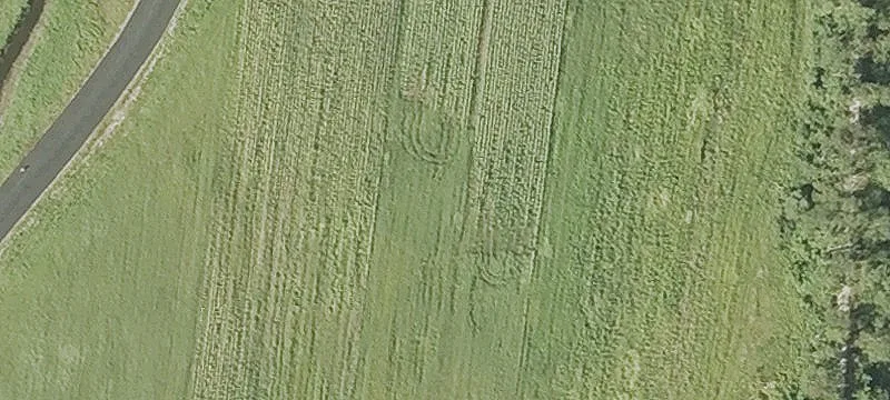 Krif Rd
