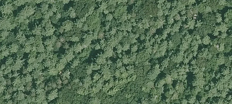 Nn Rd