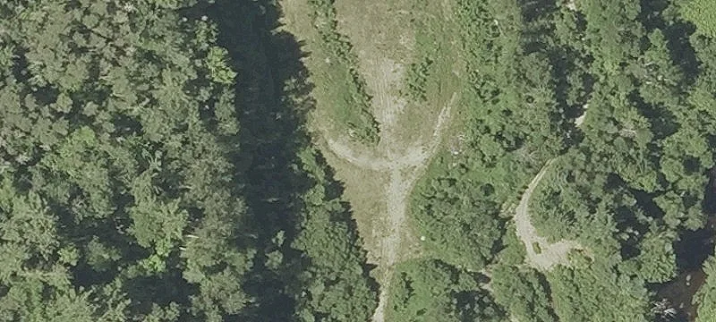 Page Rd