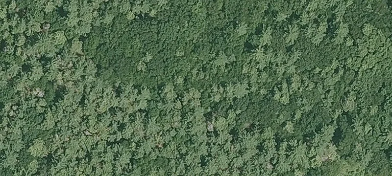 142 Ml Rd