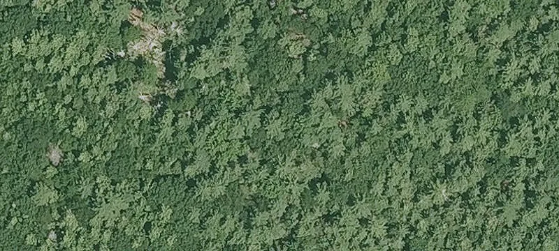 142 Ml Rd