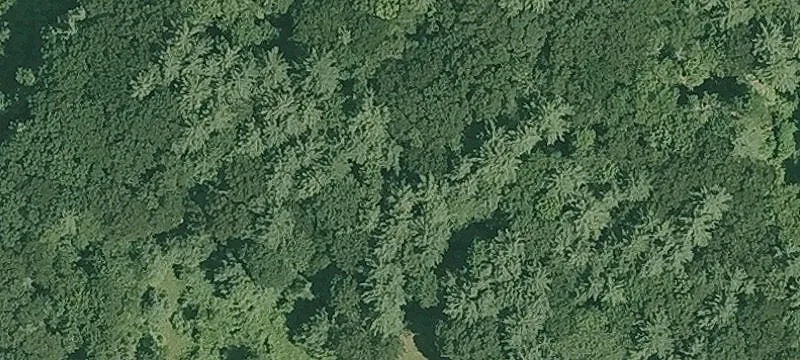 Woodland Rd