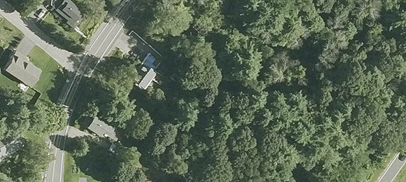 Magnolia St