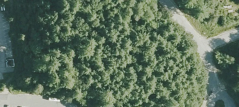 Nn Rd