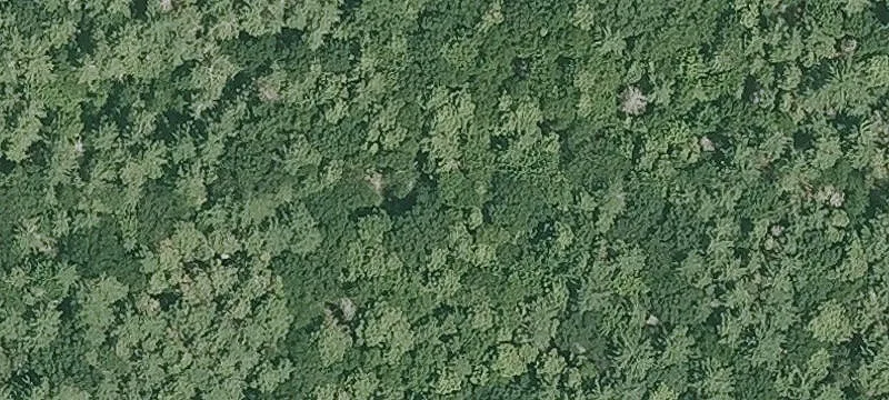 142 Ml Rd