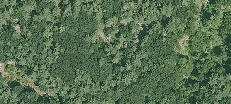 142 Ml Rd