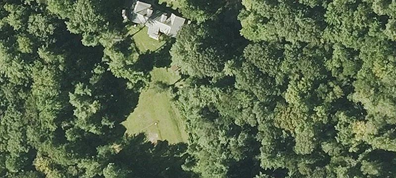 115 Fay Martin Rd