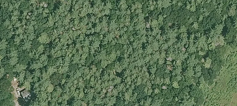 142 Ml Rd