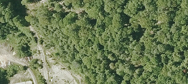 22 Camel Hump Rd