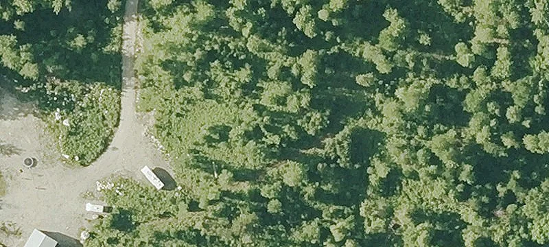 219 Mt Moosilauke Hwy