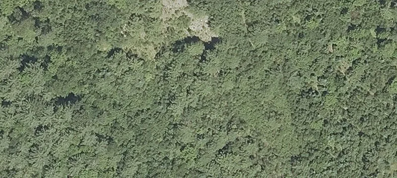 Pearl Lk Rd