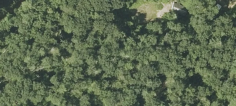 Sandy Pond Rd
