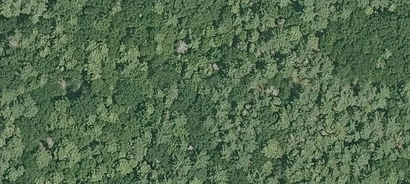 142 Ml Rd