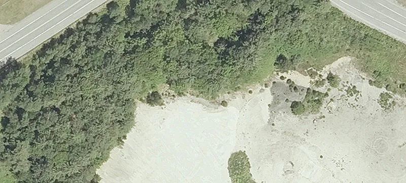 Rte 117