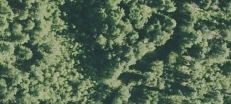 Nn Rd