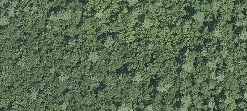 Bumford Rd