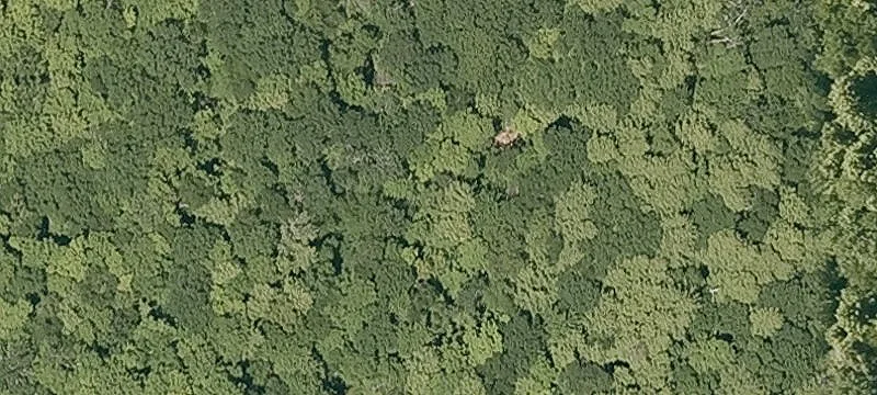 County Farm Rd