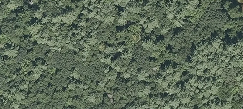 34 Dow Rd