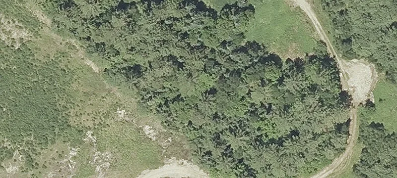 Perch Pond Rd